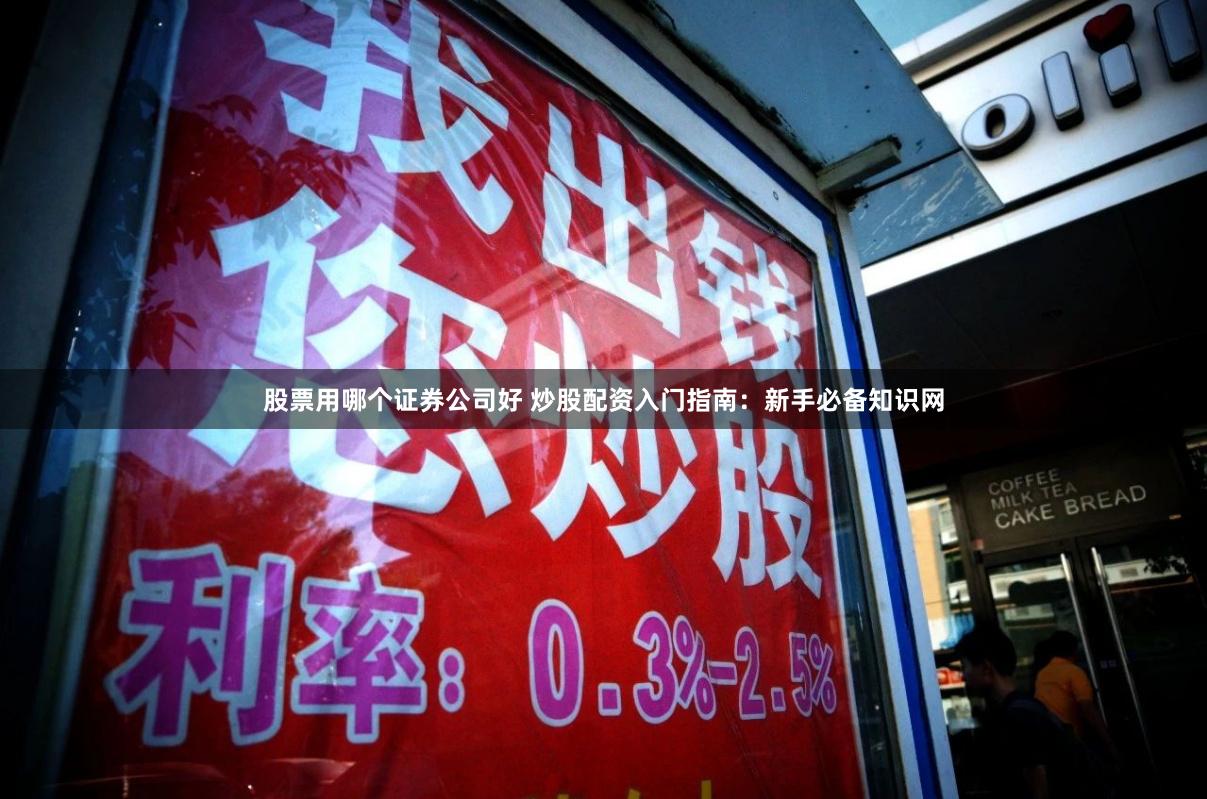 股票用哪个证券公司好 炒股配资入门指南：新手必备知识网