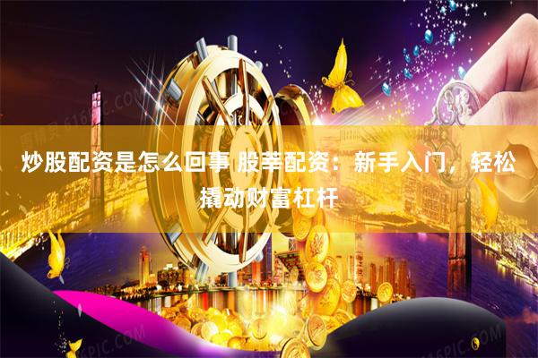 炒股配资是怎么回事 股莘配资:新手入门,轻松撬动财富杠杆