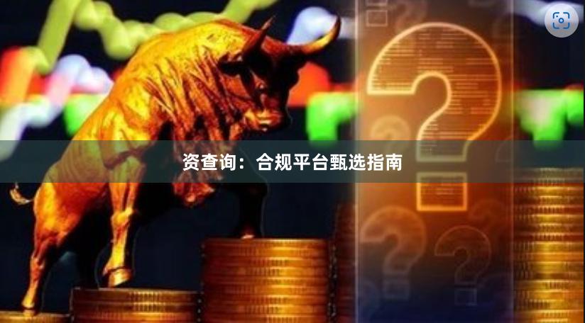 资查询：合规平台甄选指南