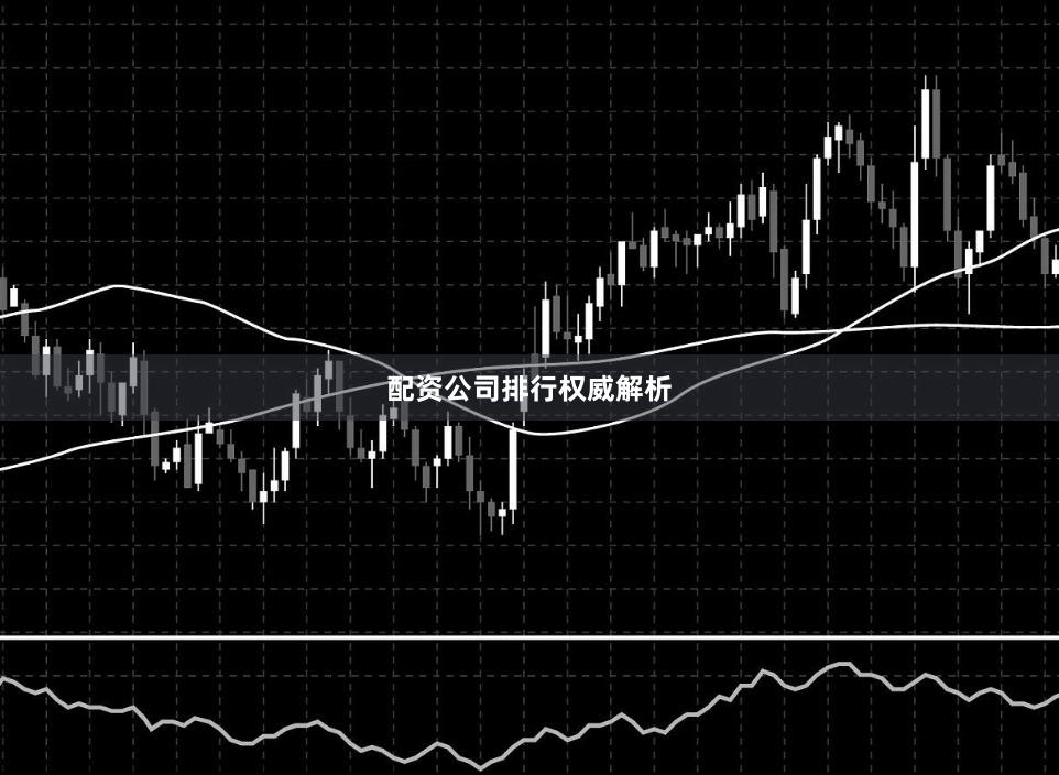 配资公司排行权威解析